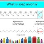 Surfactant Ion Structure