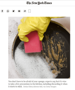 Dirty Dish Sponge